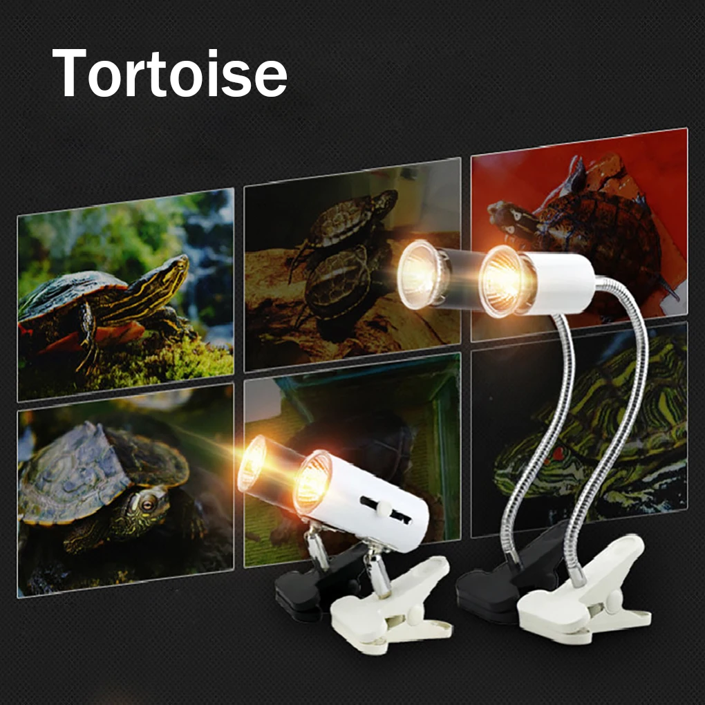 Lámparas de temperatura ajustables para acuario, luz de calor de 25W UVA y uvb para reptil de tortuga, solarium de calcio para tortugas