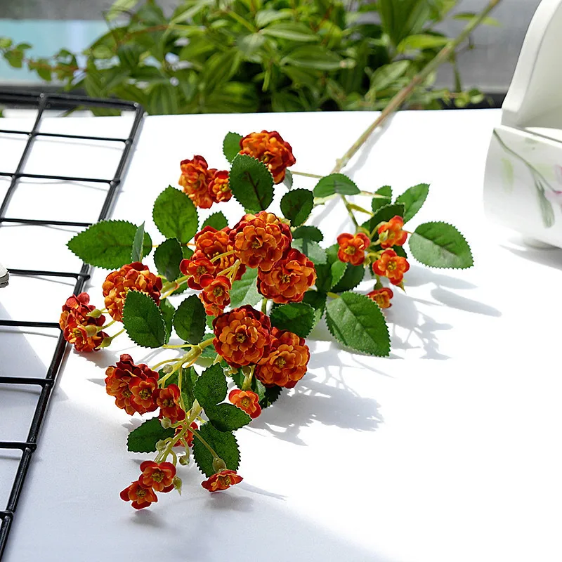 14310701609_874253957