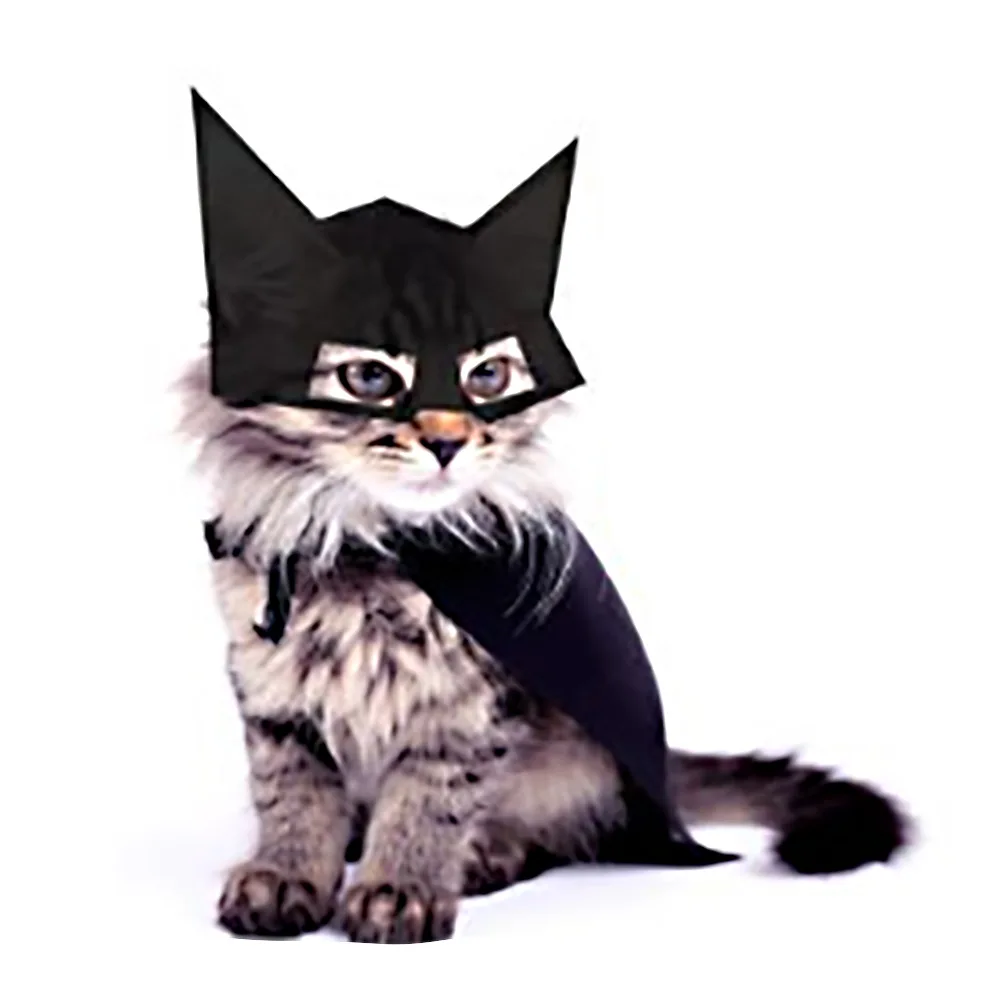 Katten Accessories Cat Cloak Bat Mask Pussy Puppy Funny Dress Cat Cosplay Pet Costume Hat For Cat Vetement Chat Ropa Para Gatos