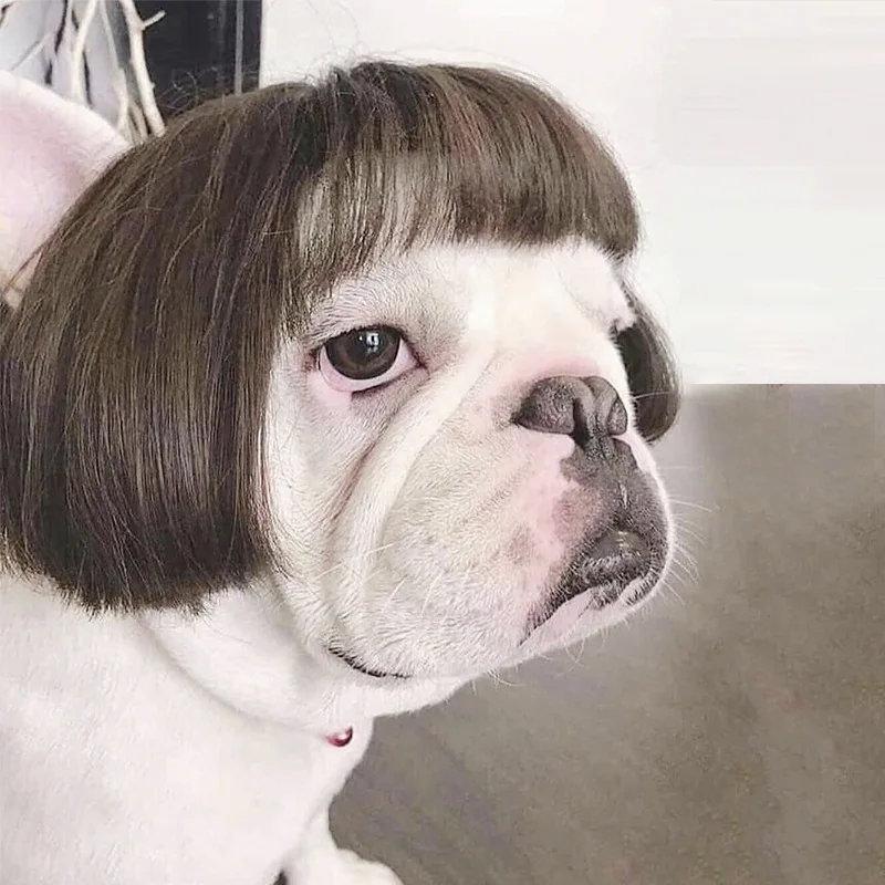 Funny Dog Wig Cosplay Fake Headgear Accessories for Small Medium Large Dogs Pet Products Cat Festival Party Photograp Props | Дом и сад