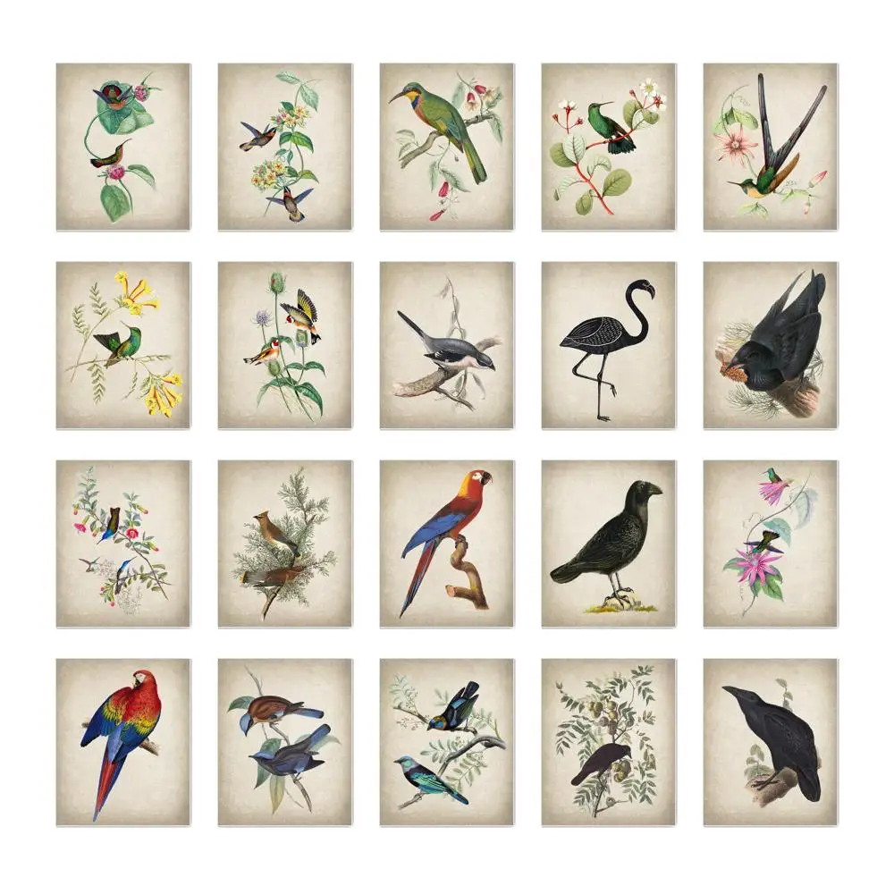Vintage Botanical Canvas Poster Print Painting Decoration Plant Flower Animal Hummingbird Art | Дом и сад