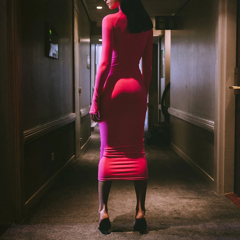 AOSSILIND-Autumn-winter-long-sleeve-turtleneck-zipper-sexy-bodycon-Midi-dresses-women-casual-sheath-long-party (3)