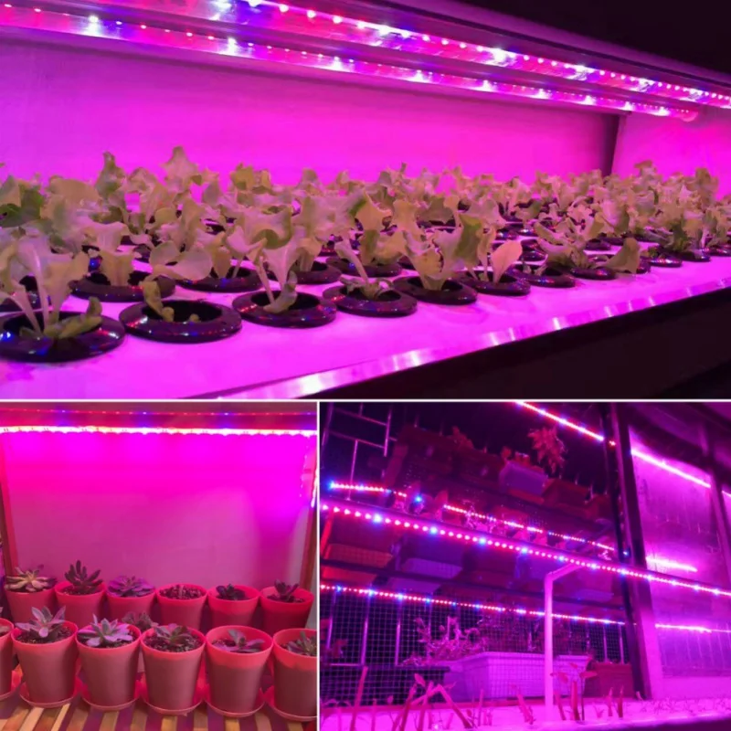Светодиодный светильник для выращивания растений с питанием от USB, полный спектр SMD 5050, красный, синий, 4:1, веревочный светильник для теплицы, гидропоника, растений, цветов