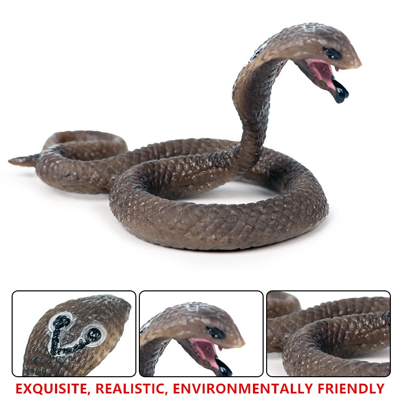 Children's Wild animal model Cobra Reptile Collecting gifts Toy model
