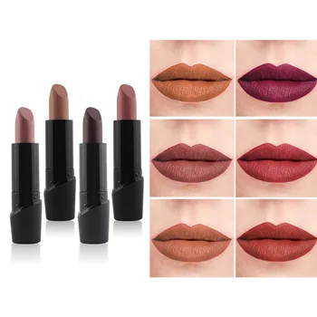 

Popular Matte Lipstick Pumpkin Color Bean Color Lip Gloss Waterproof Long Lasting Sexy Lipstick Pigments Makeup Never Fade Away