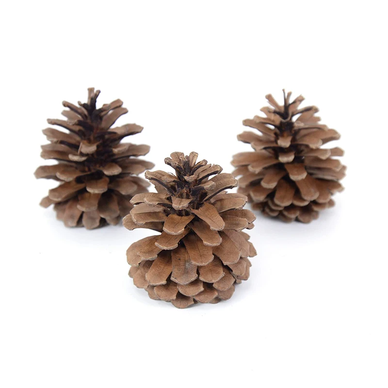 50PCS Pine Cones Nature Pinecones Ornaments for Christmas Tree Rustic  Christmas Ornaments Bulk Pinecones for Crafts Vase Fillers Thanksgiving