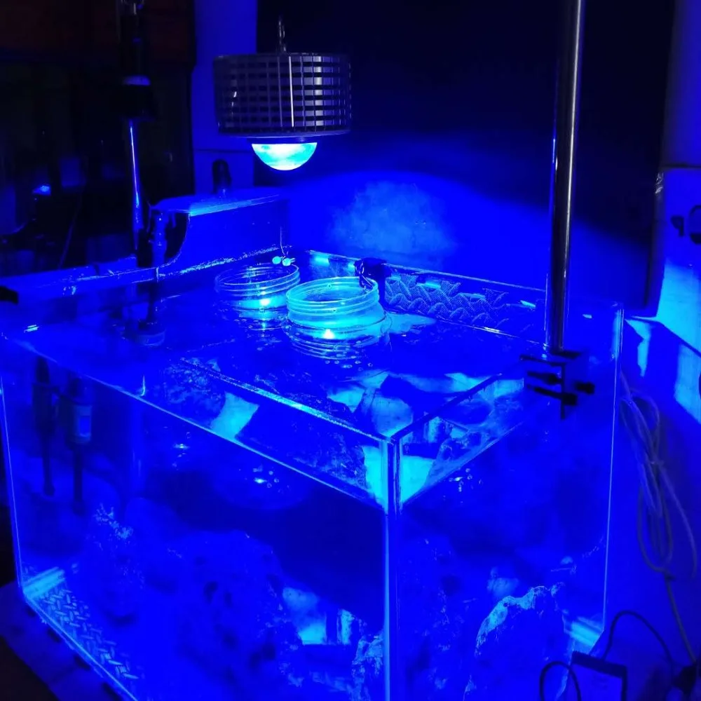 4999460fda7b093527574a261d72a3e