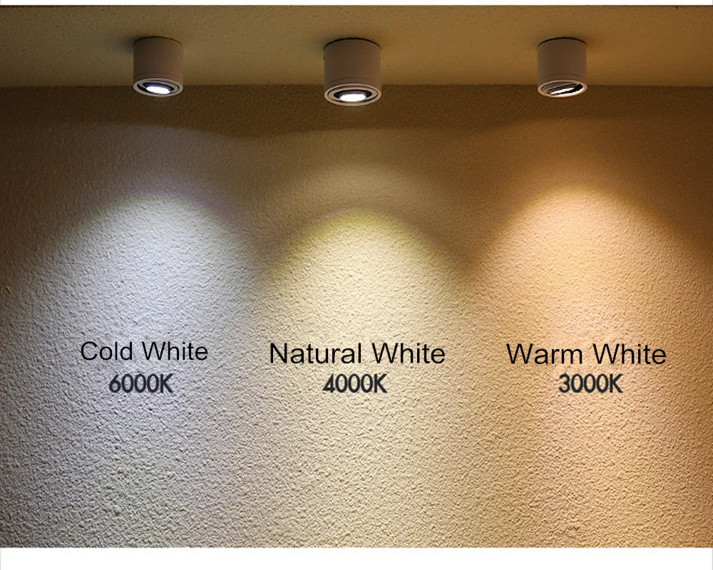 1000 X 1000 COB Downlight D _副本