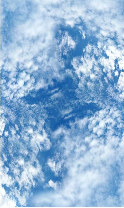 Langit Biru Melamun Yang Indah Dan Awan Putih Langit Langit Langit Langit Lukisan Zenith 3d Kertas Dinding Mural Langit Langit Wallpaper Aliexpress