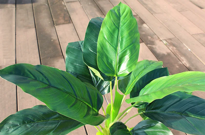 2858529565_451180499