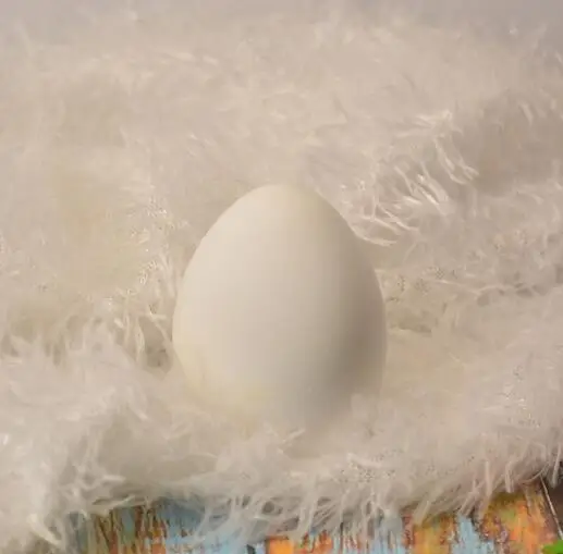 Диатомит дезодорирующий дезодорант запаха яйцо дезодорант для холодильника ароматизатор в шкафу освежитель запаха шкаф для шкафа ZXH - Цвет: White
