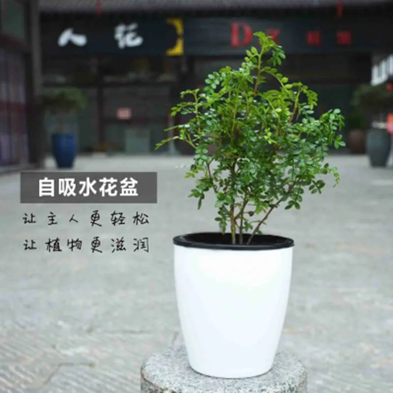 Pocket Garden Lazy Flower Pots Automatic Water- absorbing Flowers Pot Storage Plastic Flower Pots Home Decoration 1PC