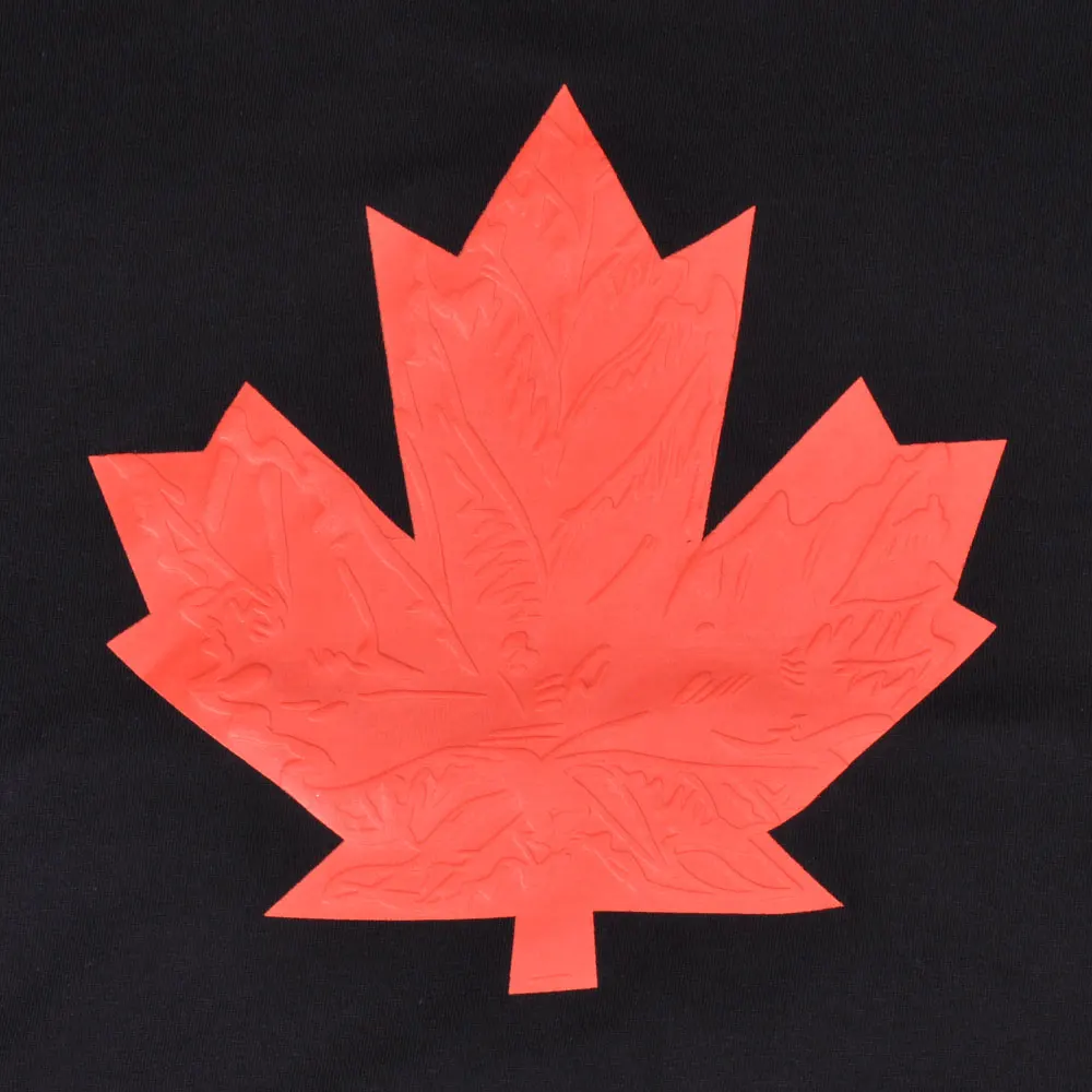 dsq canada