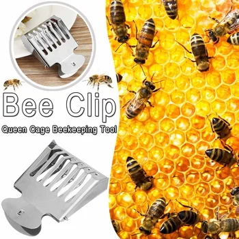 

Stainless Steel Clip Bee Cage Beehive Honey Beekeeping Queen cage Queen Bee Catcher Beekeeping tools