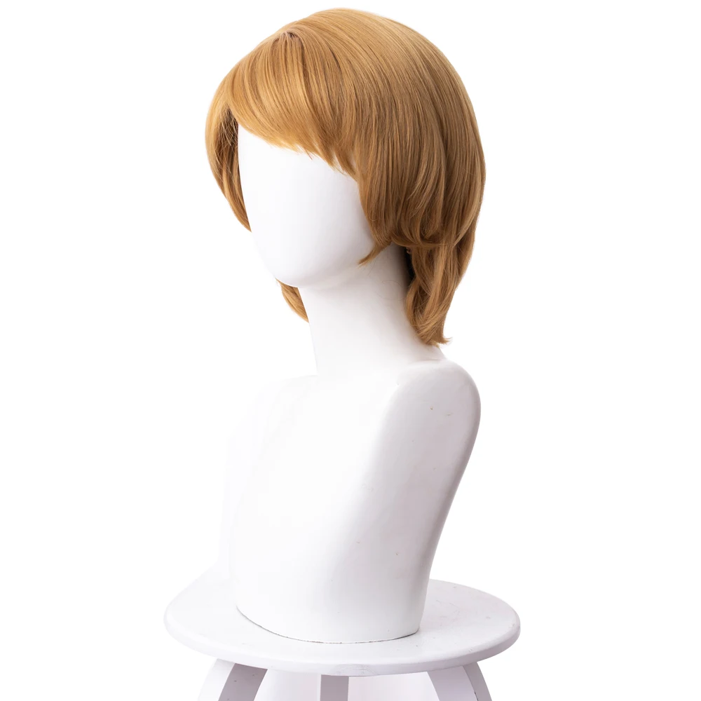  Cosplay ice snow 2 wig Kristoff Cosplay Wig 30cm Short Straight Heat Resistant Synthetic Hair Party