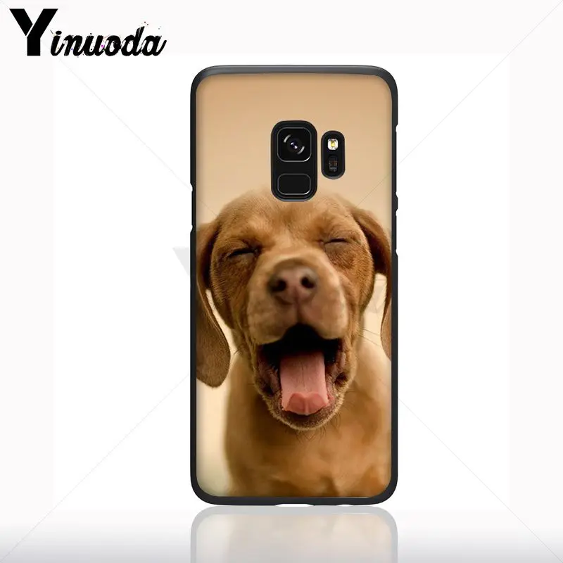 Dachshund Siluet Anjing Silikon Hitam Lembut Ponsel Case untuk Samsung Galaxy S10plus S9 S8plus S10e A50 A70 A10 Ponsel