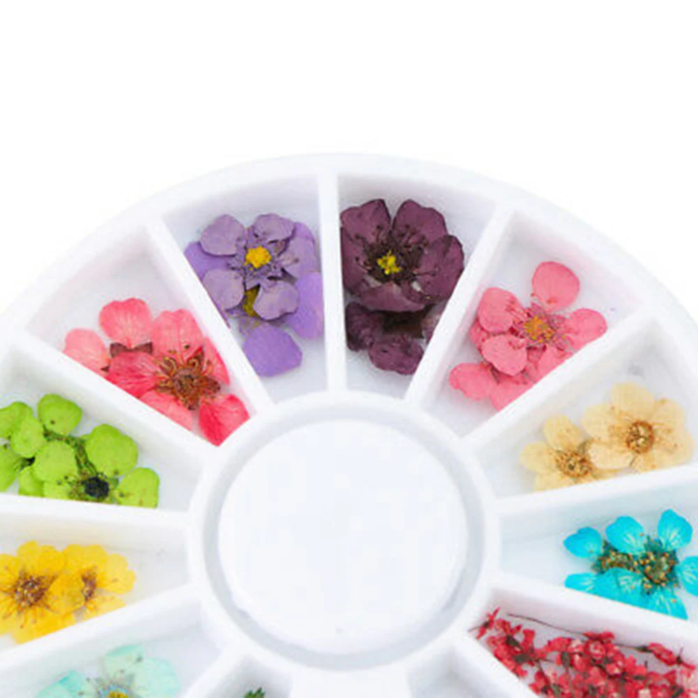 Новые 12 цветов настоящие сухие цветы 3D УФ-гель, акриловый накладные советы маникюрный декор для ногтей