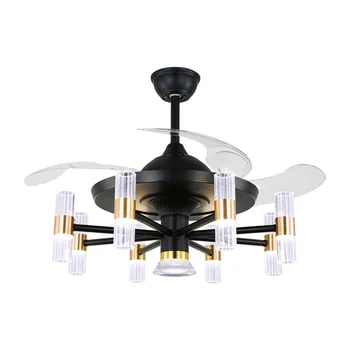 BROTHER Modern Ceiling Light With Fan Remote Control 220V 110V LED Fixtures Home Decorative For Living Room Bedroom Restaurant 5