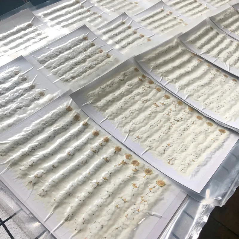 LXQ00587-01-LXQ00587-03-C5