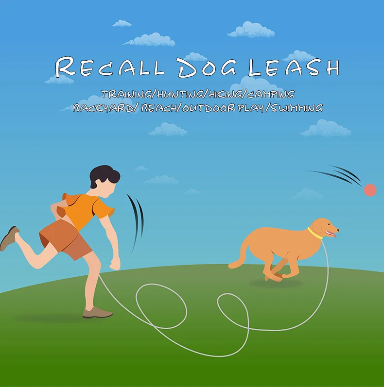 PD20034英文详情页训犬定狗绳_01