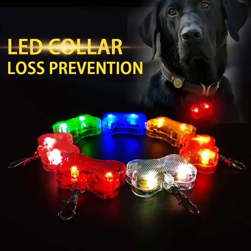 light up dog accessories