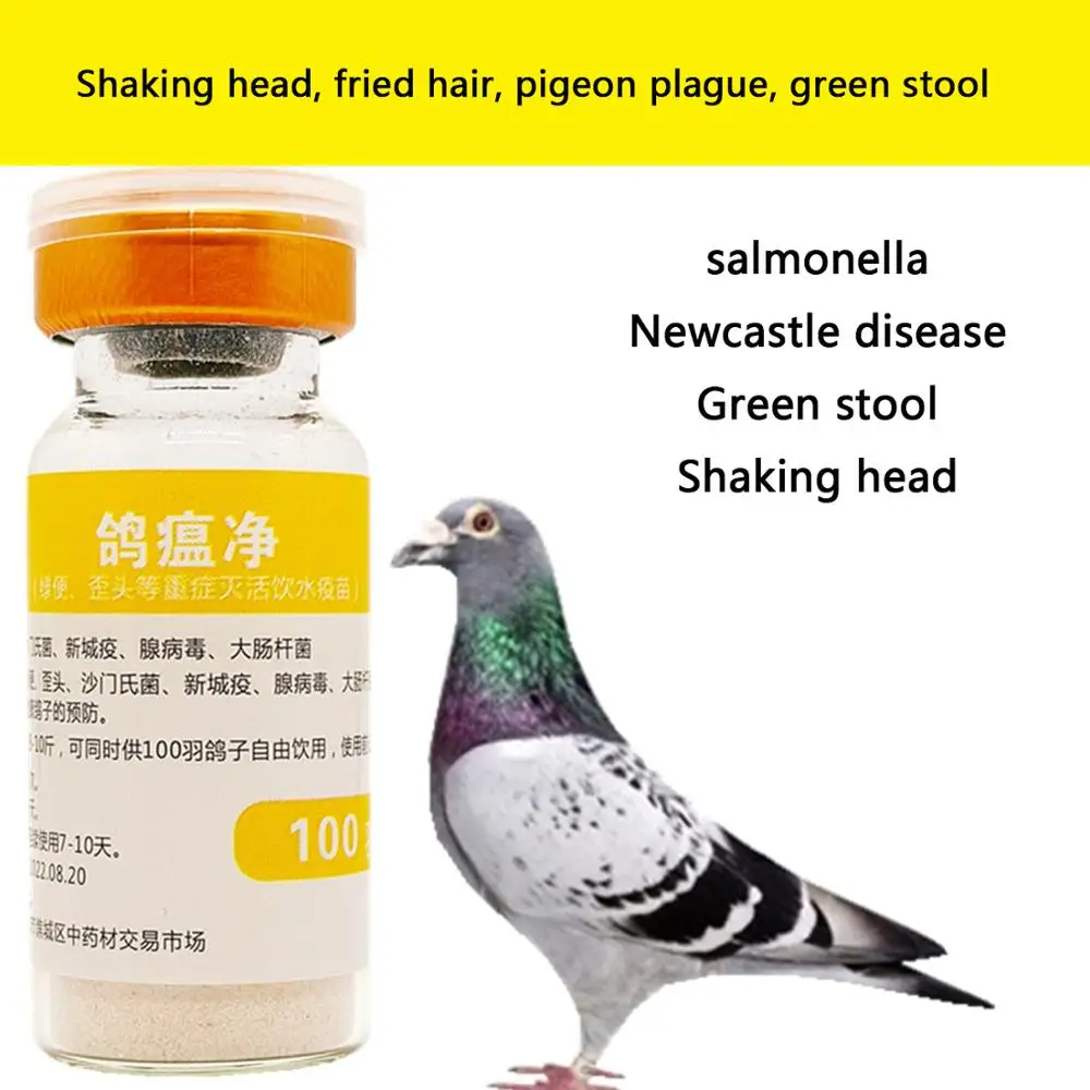 

Pigeons shake their heads and fry their hairs, tilt their heads and green stools without energy, 100 birds per bottle