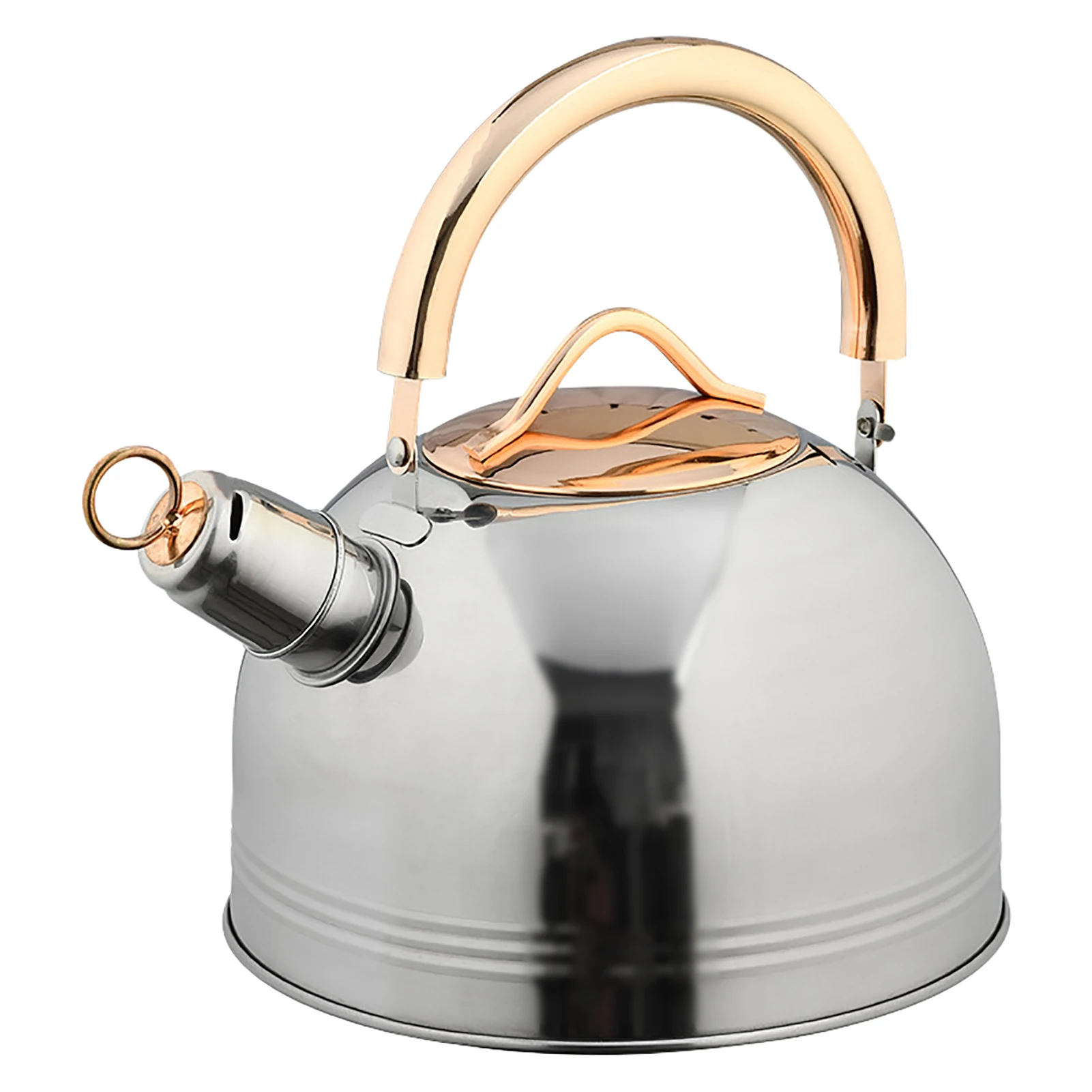Stainless Steel Whistling Water Kettle Whistling Tea Kettle Stainless