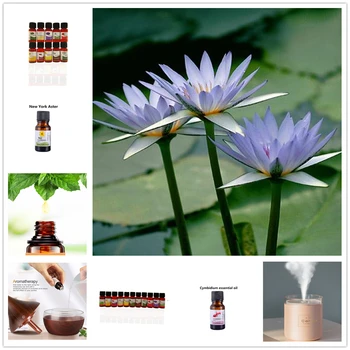 

HANCHAN 10ML Pure Essential Oils Massage Humidifier Crown of Thorns Aroma Oil Air Diffuser Humidifier Essential Oils