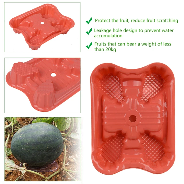 Dinnye És Gyümölcs Botanikai Tálca Kerti Támogató Védőkertészeti Szerszámok Narancssárga 3 X 10,6 2,8 Cm Újrafelhasználás Kiváló Minőségű 100 db - Image 3