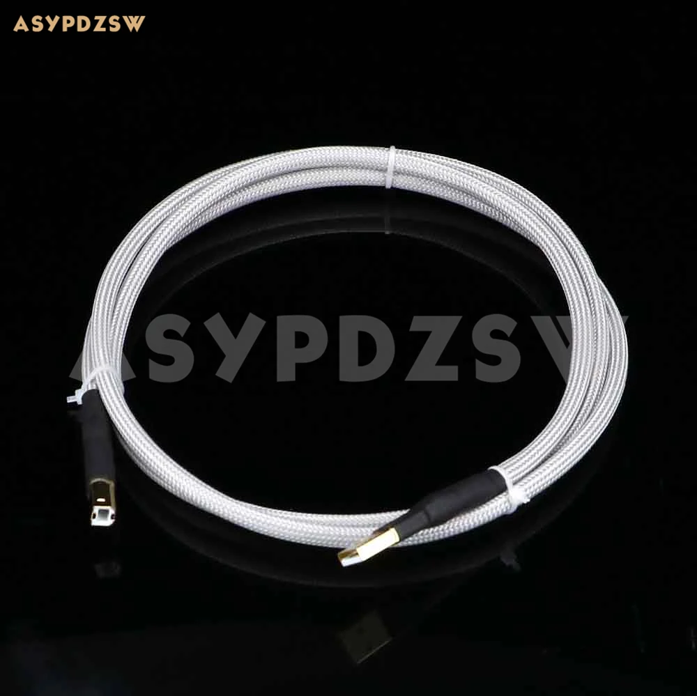 HI FI DIY 4N DAC декодирование из стерлингового серебра штекер USB Type A для передачи
