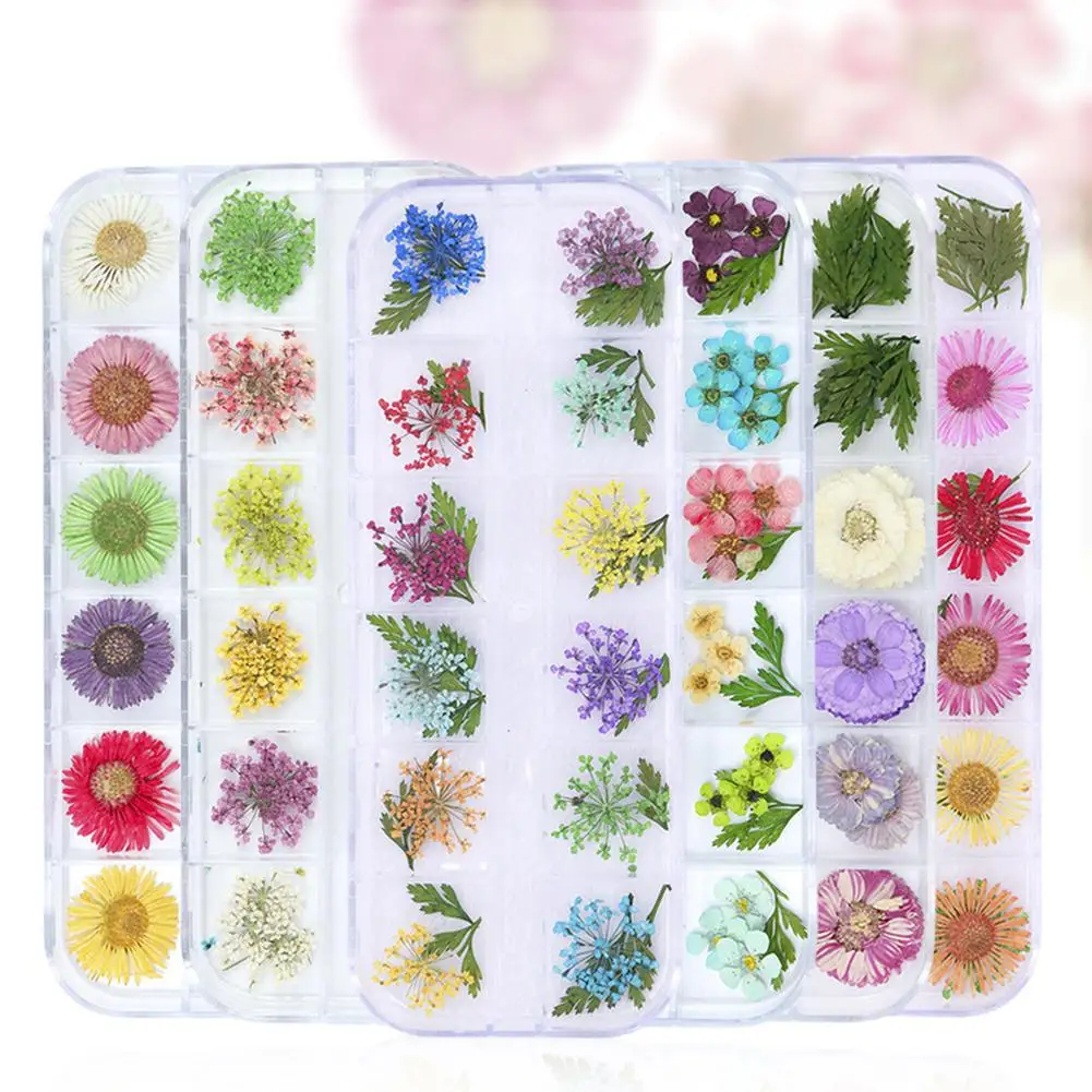 Delicate dry flower uv gel nail art decor 3d real dried flowers nail Delicate dry flower uv gel nail art decor 3d real dried flowers nail