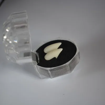 Зубы вампира 4 размера клыки протезы реквизит для костюма на Хэллоуин сувениры