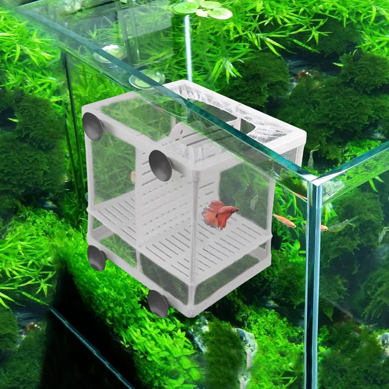 Aquarium Hatchery Fish Tank Incubator Net With Suction Cup Fish Isolation Breeding Net Box for Baby Fishes Clownfish Guppy White