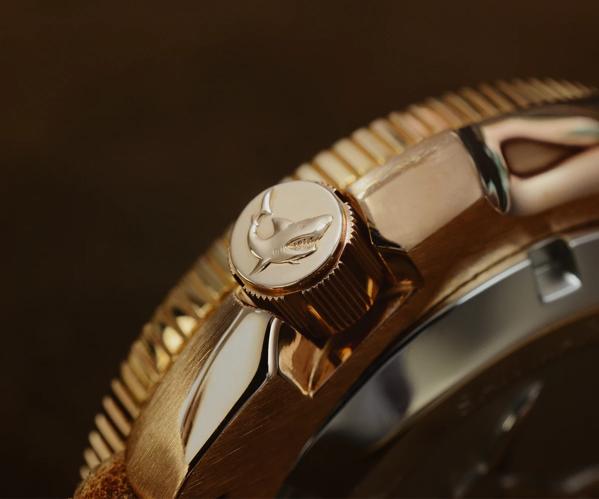 Lugyou Сан Мартин черепаха дайвер мужские часы Бронзовый автоматический NH35 керамический вращающийся ободок сапфировое стекло Фтор Резина