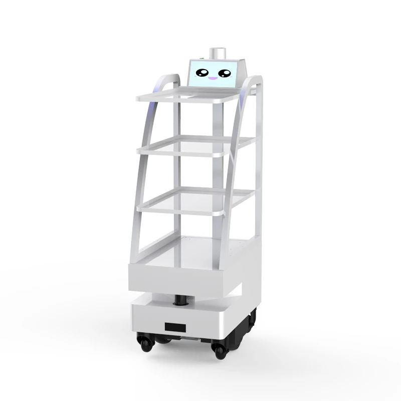 Рисунок 2 - Интеллектуальная машина для доставки