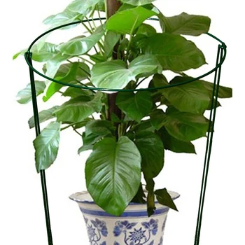 

2Pcs Half Round Plant Support Steel Rust Semi-Circular Plant Border Support Wire Hoop Plant Support Frame Garden Tool new