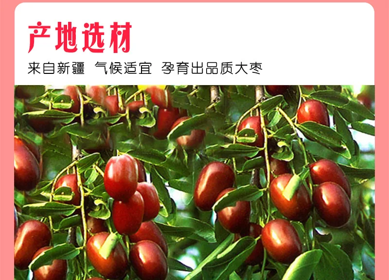 Dried jujube_04.jpg_.webp