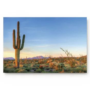 

Desert Cactus Sunrise Gobi Arid Plants Bushes Kitchen Floor Bath Entrance Rug Mat Absorbent Indoor Bathroom Decor Doormats