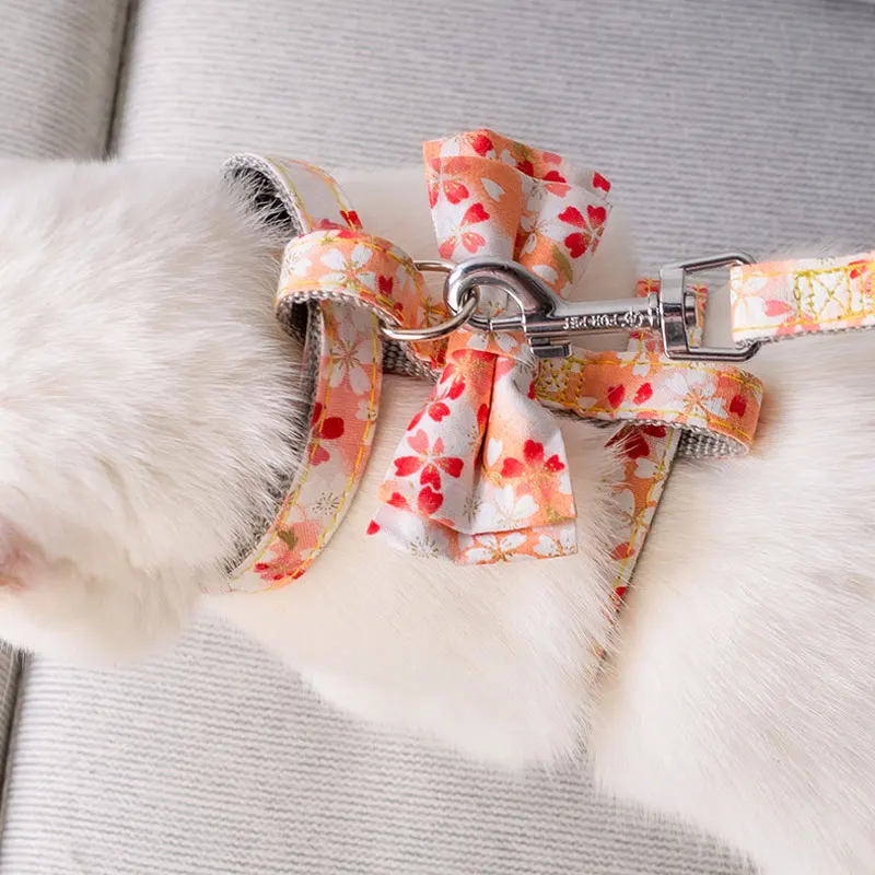 Cat Harness Vest Walking Lead Leash Pet Cat Pet Vest Coat for All Seasons Cat Collar with Bow Pet Necklace Personalized Bowknot