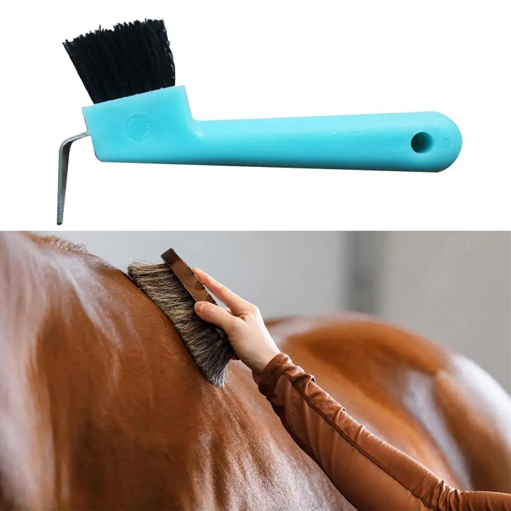 Easy to Hold  Premium Horse Care Cleaning Brush Eco-friendly Horseshoe Brush Fine Workmanship   for Personal Use