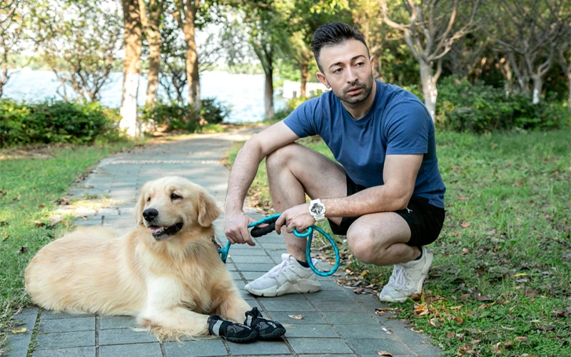 Собака сапоги с нескользящей подошвой с воздухопроницаемой сеткой, с изображением собаки; Paw протектор со светоотражающими застежку-липучку и прочная подошва из кожи-идеально подходит для средних и больших собак