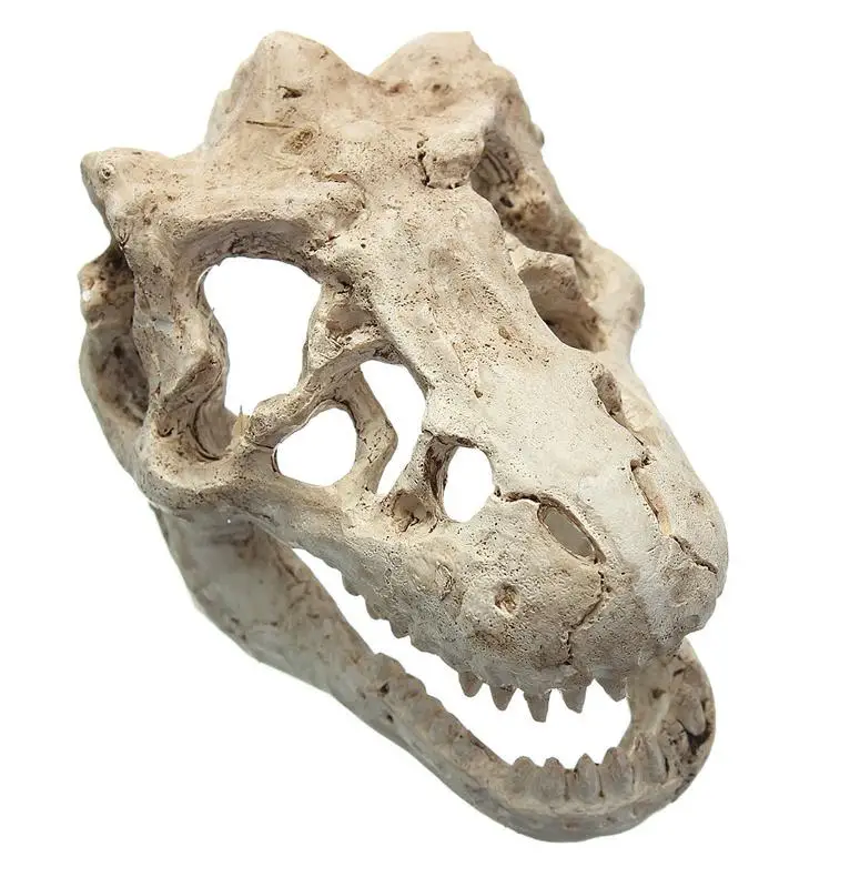 Аквариумный череп динозавра, украшение для аквариума, голова динозавра, украшение, скрывающаяся пещера для рыбы, черепахи, аксессуары для аквариума - Цвет: Белый