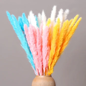 

7PCs Bulrush Natural Small Dried Flowers Pampas Grass Phragmites DIY Artificial Flowers Plants For Wedding Decor Home Decoration