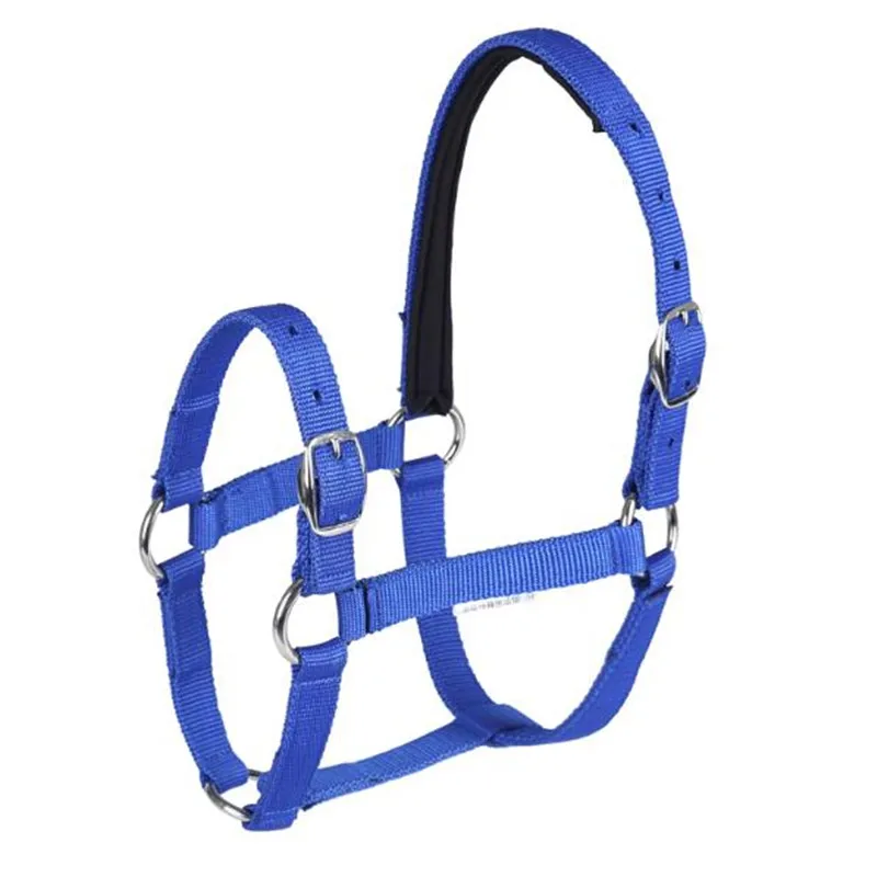 Cavassion Factory Directly Sale Anti-friction Protecting the Horse Skin Bridle Horse Riding Halter8218001