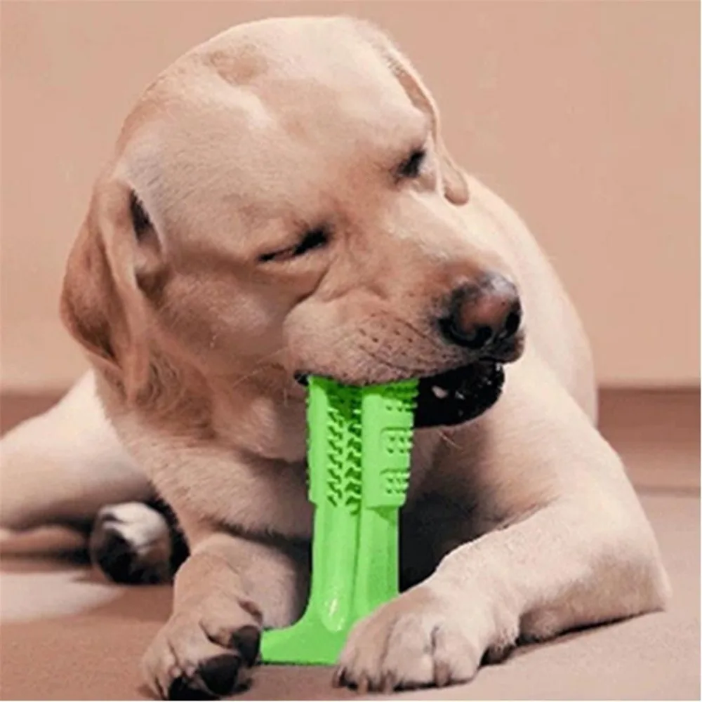 Dog Toy Ball Food Funny Toothbrush Stick Pet Dog Toys For Small Large Dogs Tooth Brush Bite Resistant Puppy Pet Chew Toys Rubber (12)