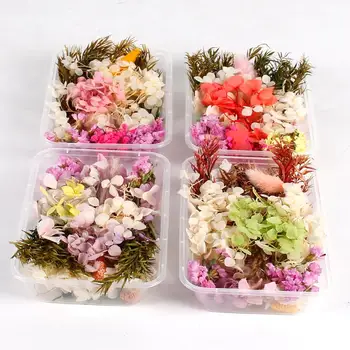 

Staraise 1 Box Mix Drise Flower Decor DIY Natural Floral Garden Home Decor Artificial Flower Wedding Birthday Craft Accessories