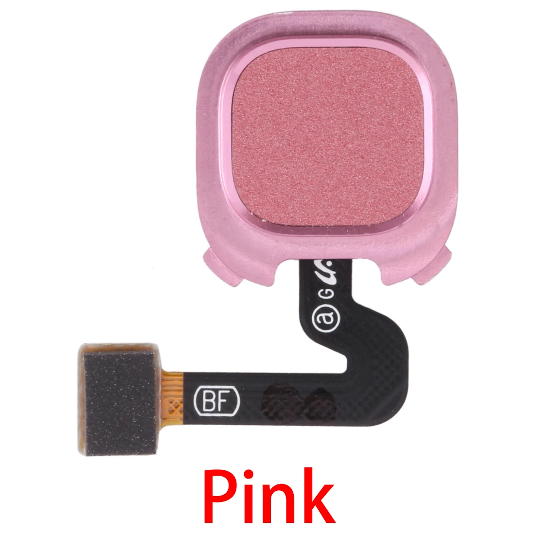 Рисунок 5 - Гибкий кабель для датчика отпечатков