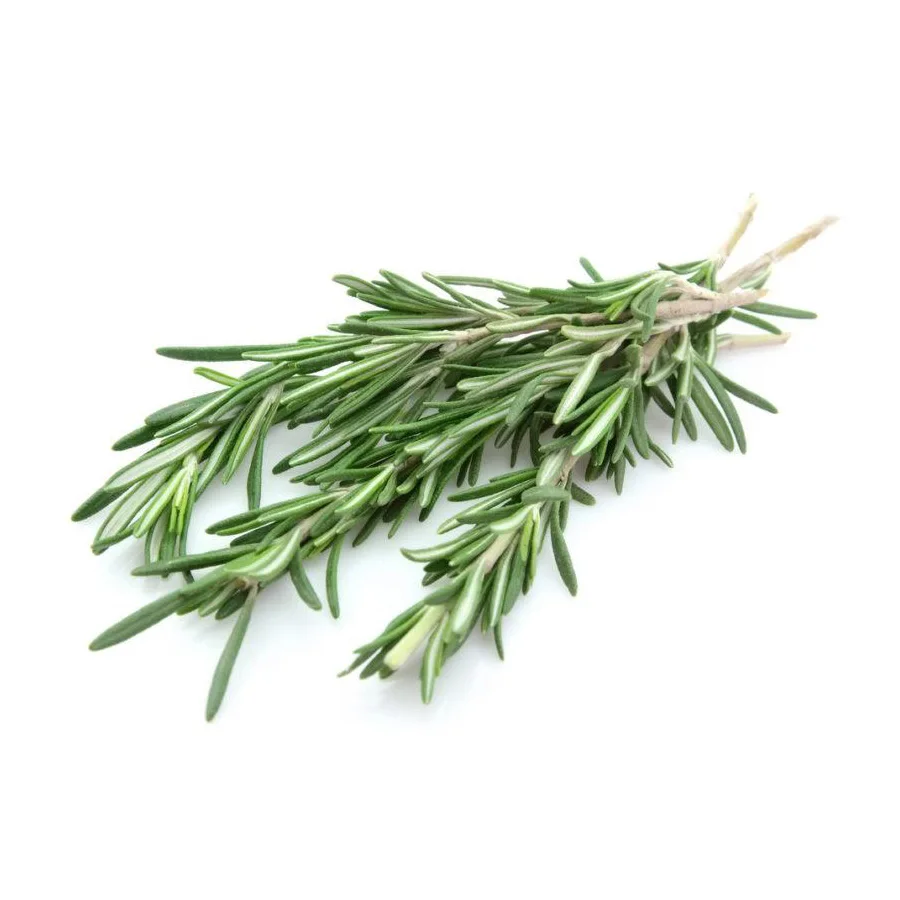 Эфирное масло для роста волос от известного бренда oroaroma Rosemary, освежающее, укрепляющее кожу, повышающее Контроль памяти, масло розмарина