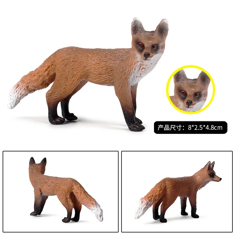 10331231906_1464955482