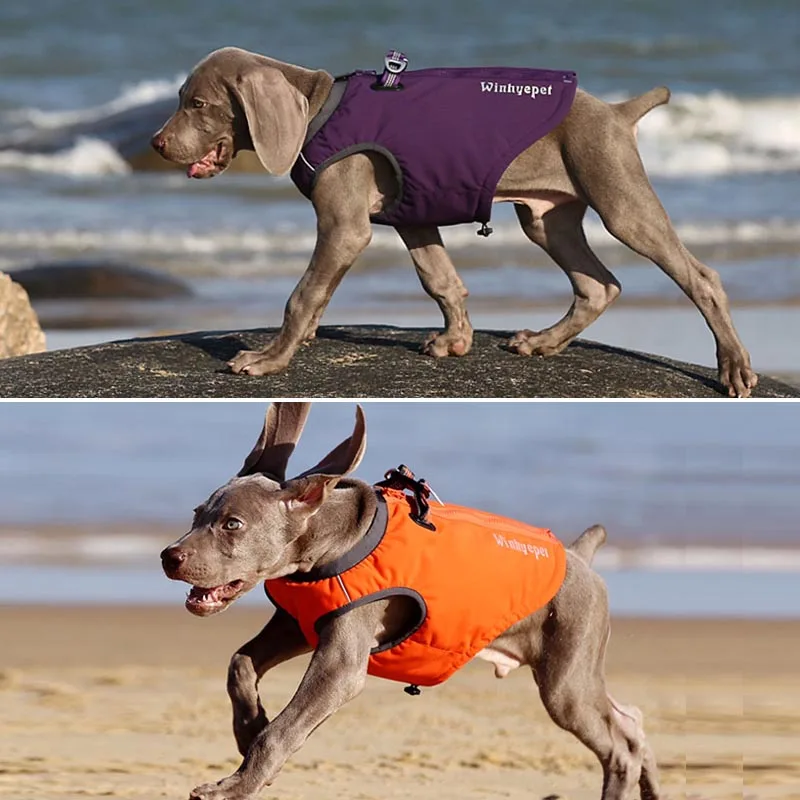 Truelove жилет для собак зимняя водонепроницаемая теплая куртка для собак Светоотражающая Одежда для собак для маленьких и больших собак Французский бульдог